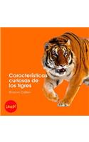 Características Curiosas de Los Tigres: Libro Grande(Etapa B / Los Animales)