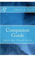 Companion Guide: Open the Flood Gates(English)
