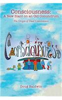 Consciousness