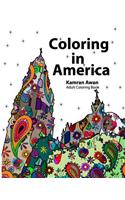 Coloring In America