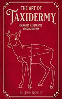 The Art of Taxidermy