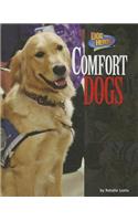 Comfort Dogs