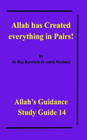 Allah has Created everything in Pairs!: Allah's Guidance Study Guide 14