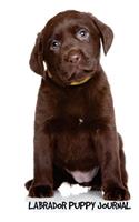 Labrador Puppy Journal: 6 x 9 inch dog notebook, Labrador Retriever, Chocolate Lab, graph paper journal, 200 pages