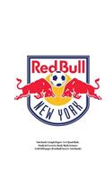 New York Red Bulls Notebook