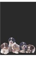Puppy Love