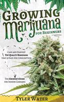 Growing Marijuana for Beginners