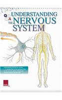 Understanding the Nervous System Flip Chart