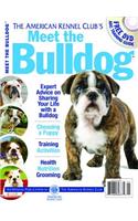 Meet the Bulldog