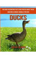 Ducks: Fun and Fascinating Facts and Photos about These Amazing & Unique Animals for Kids