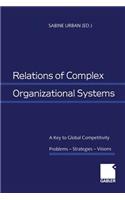 Relations of Complex Organizational Systems