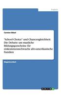 School Choice und Chancengleichheit: Die Debatte um staatliche Bildungsgutscheine für einkommensschwache afro-amerikanische Familien