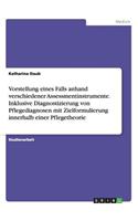 Vorstellung eines Falls anhand verschiedener Assessmentinstrumente. Inklusive Diagnostizierung von Pflegediagnosen mit Zielformulierung innerhalb einer Pflegetheorie