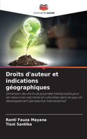 Droits d'auteur et indications géographiques