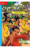 Reading Wonders, Grade 5, Leveled Reader Dancing the Flamenco, Ell, Unit 3, 6-Pack