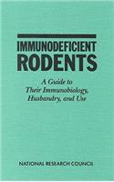 Immunodeficient Rodents