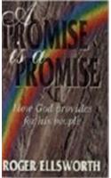 Promise is a Promise