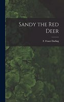 Sandy the Red Deer