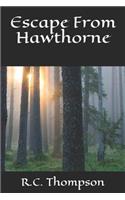 Escape From Hawthorne: (1 The Hawthorne Adventures)