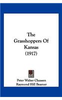 Grasshoppers Of Kansas (1917)