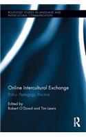 Online Intercultural Exchange