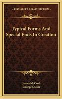 Typical Forms and Special Ends in Creation