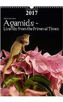 Agamids - Lizards from the Primeval Times 2017