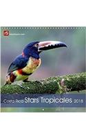 Costa Rica Stars Tropicales 2018