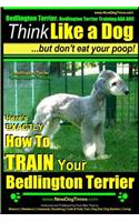 Bedlington Terrier, Bedlington Terrier Training AAA Akc