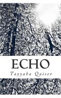 Echo: Poetry(English)