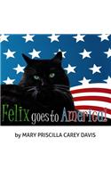 Felix Goes To America