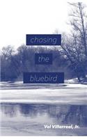 Chasing the Bluebird