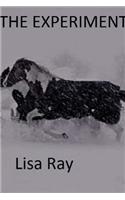 The Experiment: (1 Chronicles of Deceit)