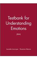 Testbank for Understanding Emotions (Ibm)