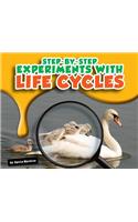 Step-By-Step Experiments with Life Cycles