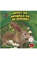 What Do Animals Do in Spring?