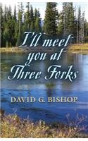 I'll Meet You at Three Forks