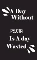 A day without pelota is a day wasted
