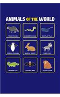 Animals Of The World