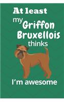 At least my Griffon Bruxellois thinks I'm awesome: For Griffon Bruxellois Dog Fans