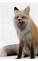 Red Fox Notebook
