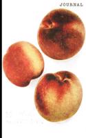 Journal: Vintage Peach Illustration Fruit Design - 128 College Ruled Pages: 6 x 9 in Blank Lined Journal with Soft Matte Cover - Notebook, Diary, Composition