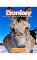 Donkey: Fun Facts and Amazing Photos of Animals in Nature