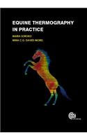 Equine Thermography in Practice