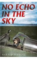 No Echo in the Sky