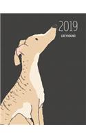 2019 Greyhound: Dated Weekly Planner with to Do Notes & Dog Quotes - Greyhound Brindle