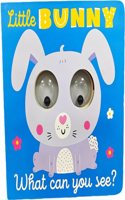 What Can You See? Little Bunny What Can You See?