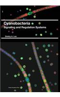 Cyanobacteria