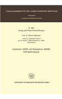 Kinetische- (KESR) und Modulations- (MESR) ESR — Spektroskopie: (3087 Forschungsberichte des Landes Nordrhein-Westfalen)