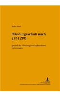 Pfaendungsschutz Nach § 851 Zpo